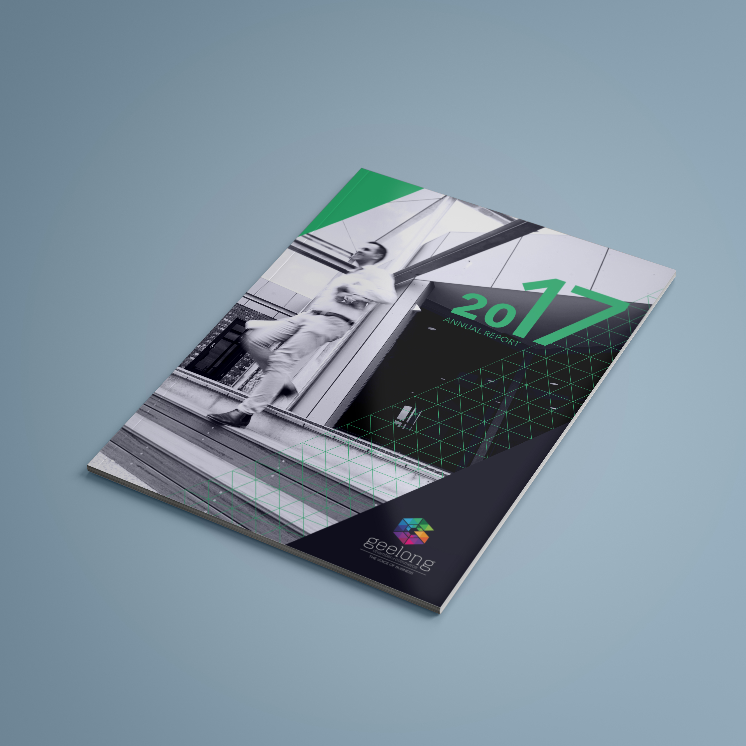 Annual Report Design Geelong - Geelong Chamber of Commerce 2017 Annual Report