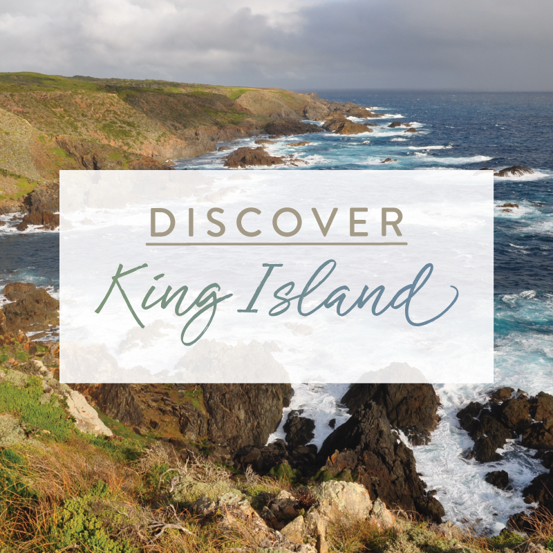 Discover King Island logo - Graphic Design