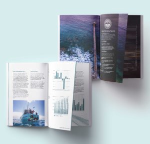 Borough of Quenscliffe Annual Report