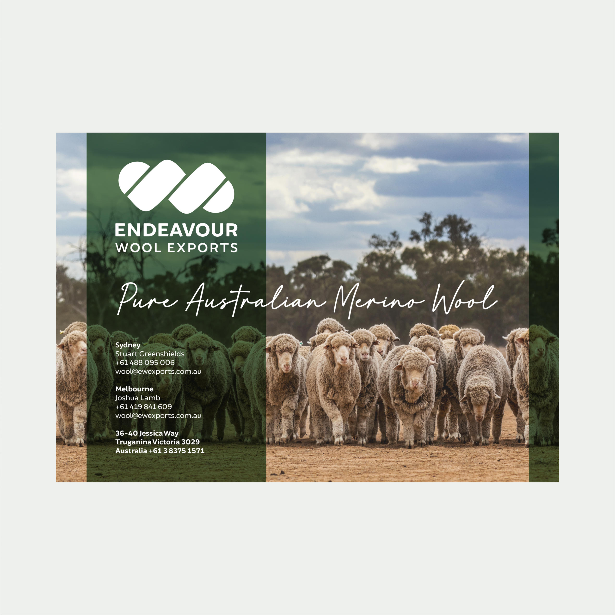 Endeavour Wool Exports Magazine Advertising Design